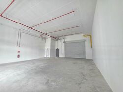 Ct Foodnex (D25), Factory #473171011